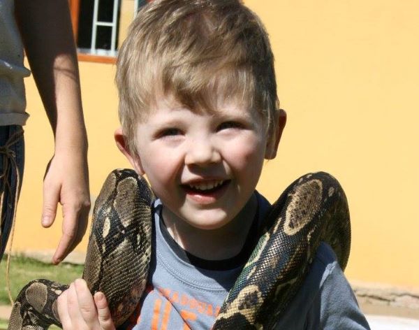 AbacusKidz Educational Shows-33